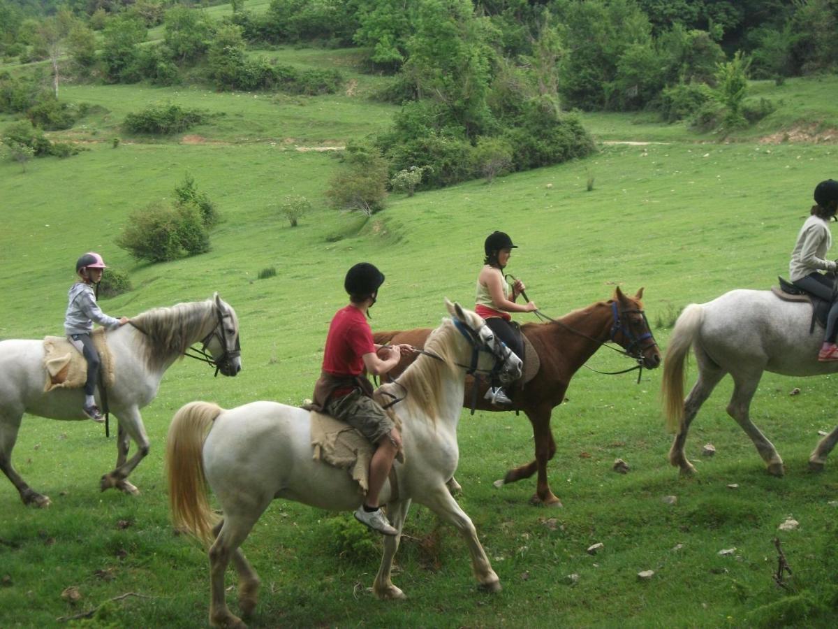 Bed&Breakfast La Cabanya De Beget Bed & Breakfast Екстериор снимка