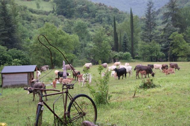 Bed&Breakfast La Cabanya De Beget Bed & Breakfast Екстериор снимка