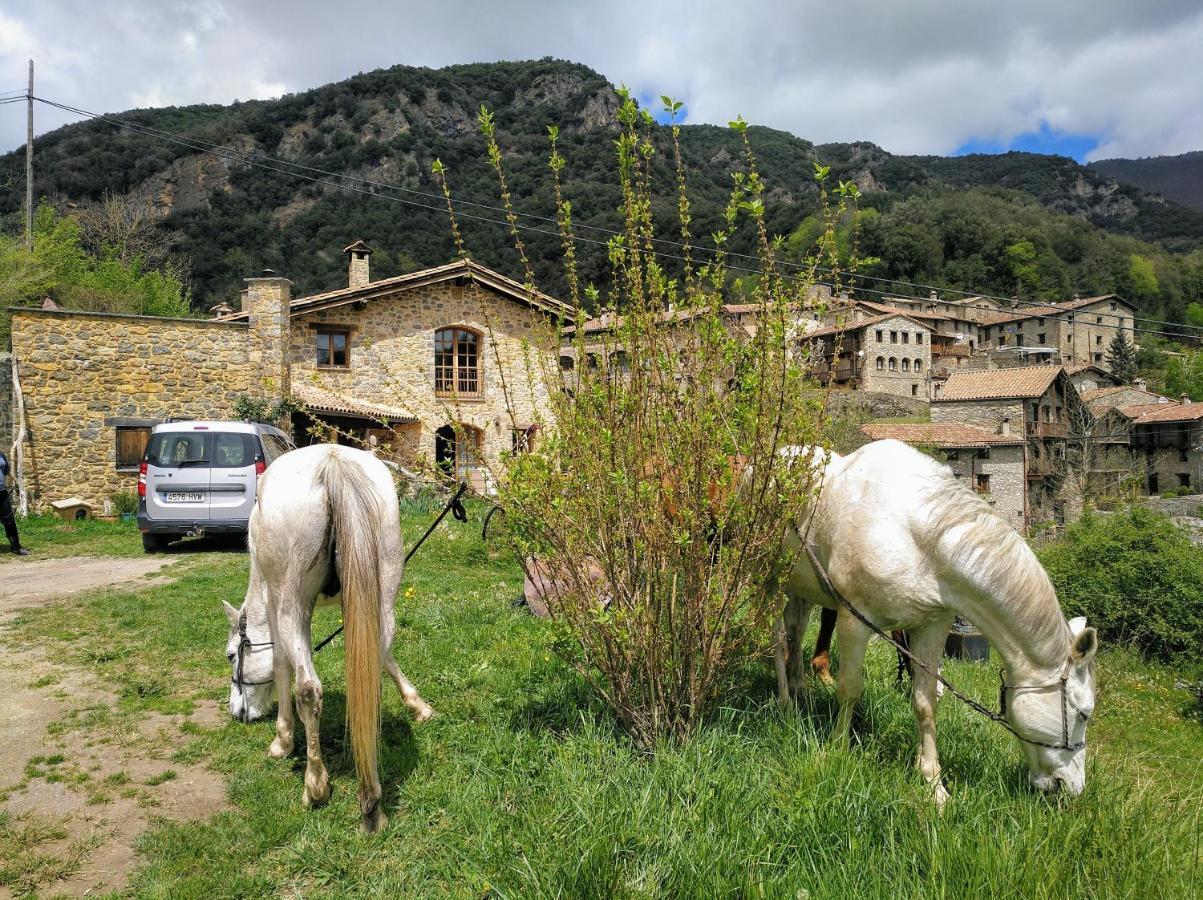 Bed&Breakfast La Cabanya De Beget Bed & Breakfast Екстериор снимка